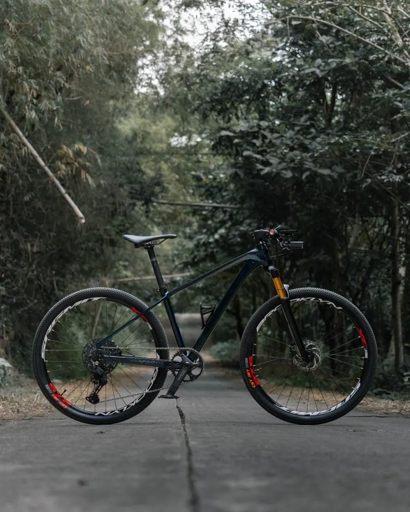 MTB „Korzeń” — rama 56